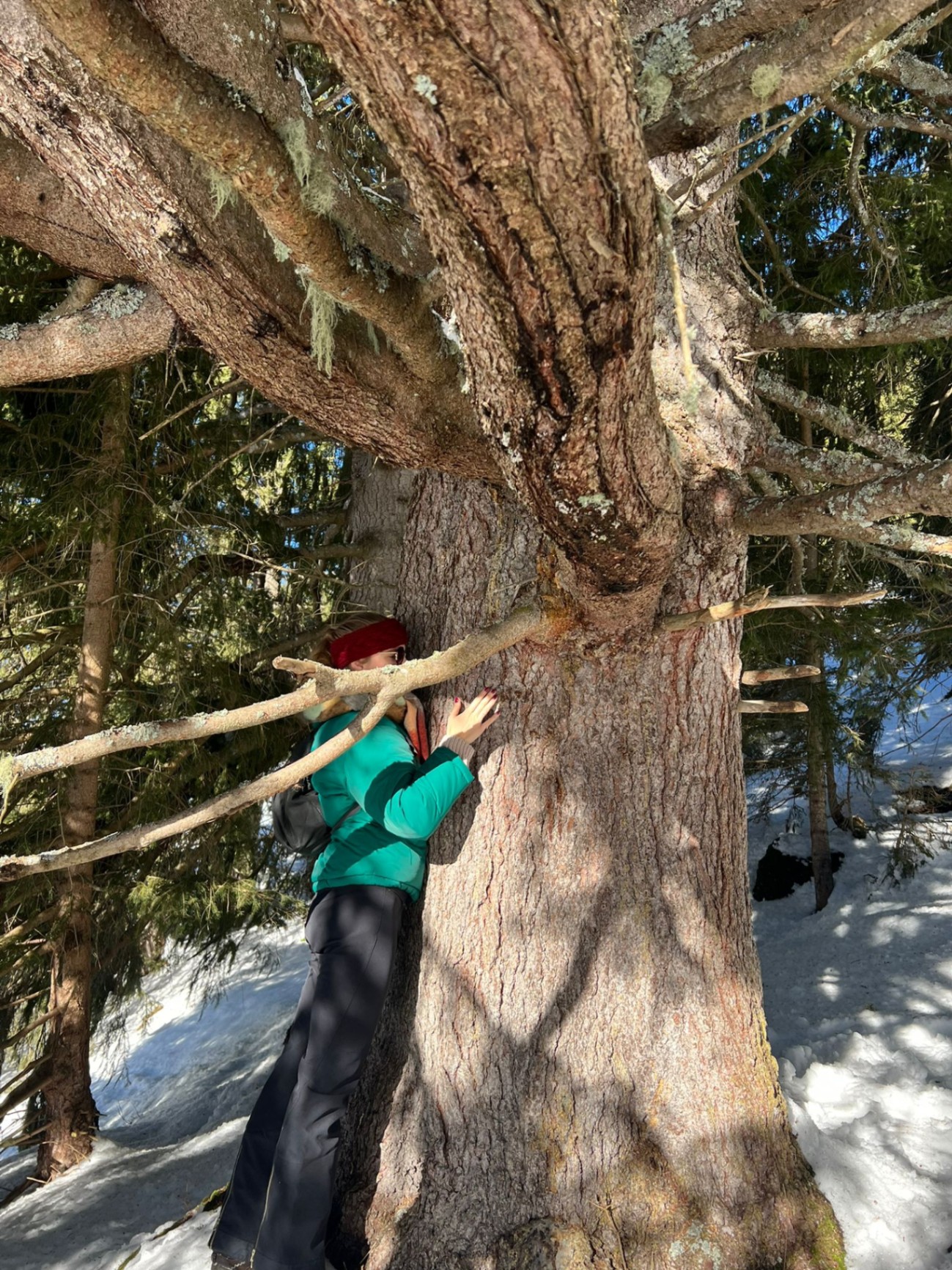 Leonie embracing an old tree in the forest
